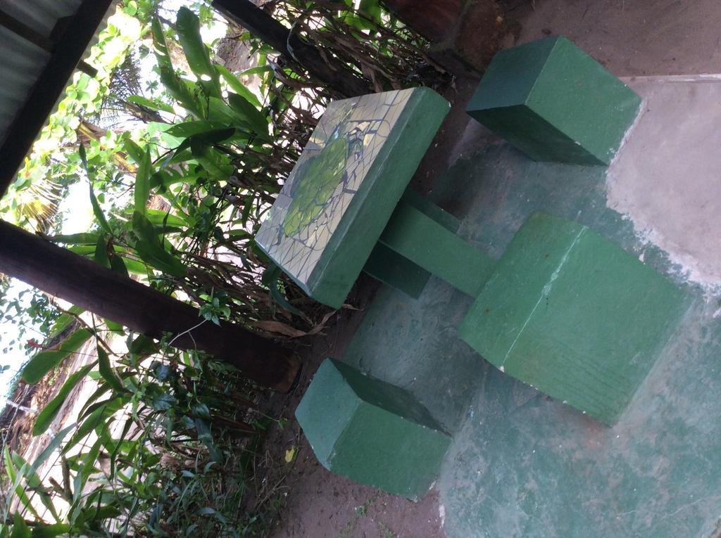 Cabinas Balcon Del Mar Tortuguero Εξωτερικό φωτογραφία