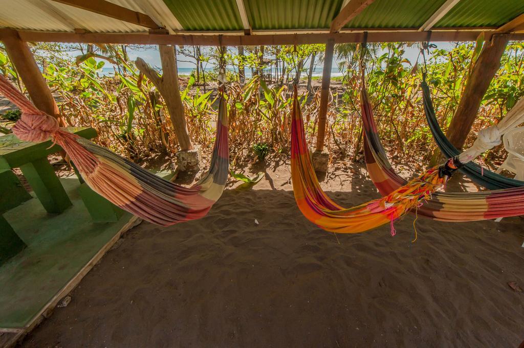 Cabinas Balcon Del Mar Tortuguero Εξωτερικό φωτογραφία