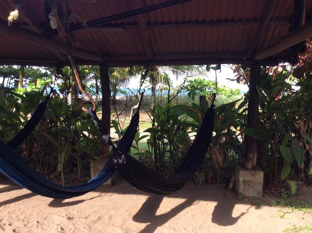 Cabinas Balcon Del Mar Tortuguero Εξωτερικό φωτογραφία